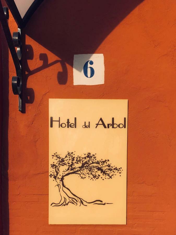 Hotel Del Arbol Xàtiva Esterno foto